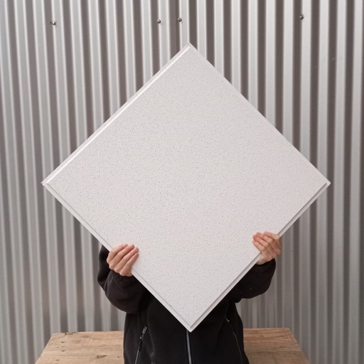 [5.3.298-001] Dalle de plafond suspendu 60x60x1.5